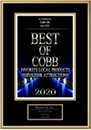 Plaque titled "Best of Cobb 2020" awarded for favorite local products and reader attractions, prominently displayed in the footer section to enhance SEO and keywords ranking.