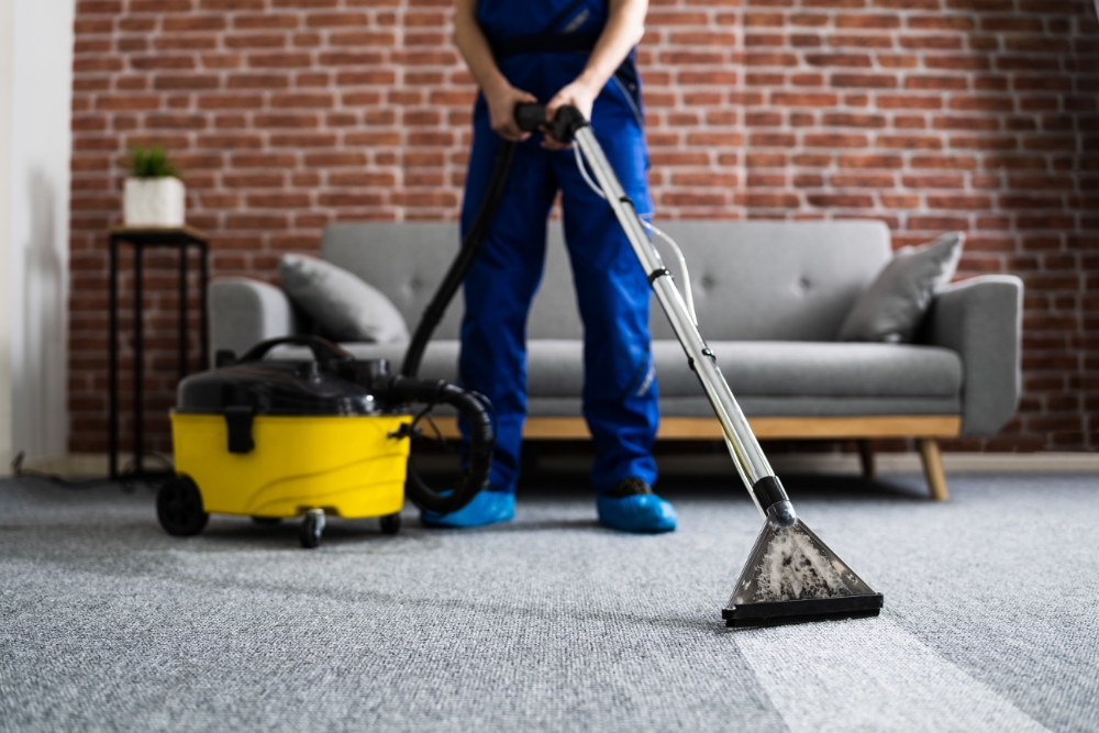 A person wearing blue overalls operates a carpet cleaning machine, offering professional services on a grey rug in a living room with a grey couch and brick wall.