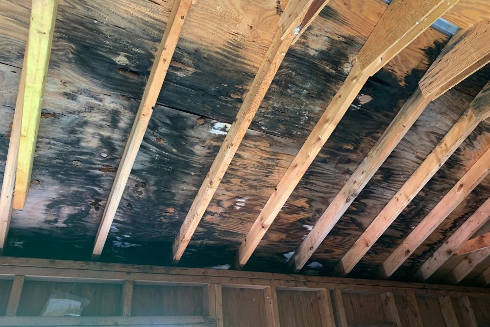 Image of a wooden ceiling with visible water damage and mold growth, showing discolored and darkened wood among the beams. Learn about how Restor-It can restore your home to its former glory, tackling even the toughest damage with ease.