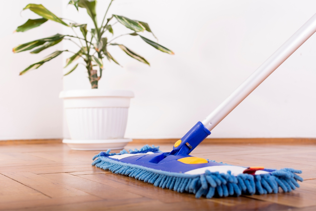 A mop with a blue head is cleaning a floor of glue down vinyl plank flooring next to a potted plant.