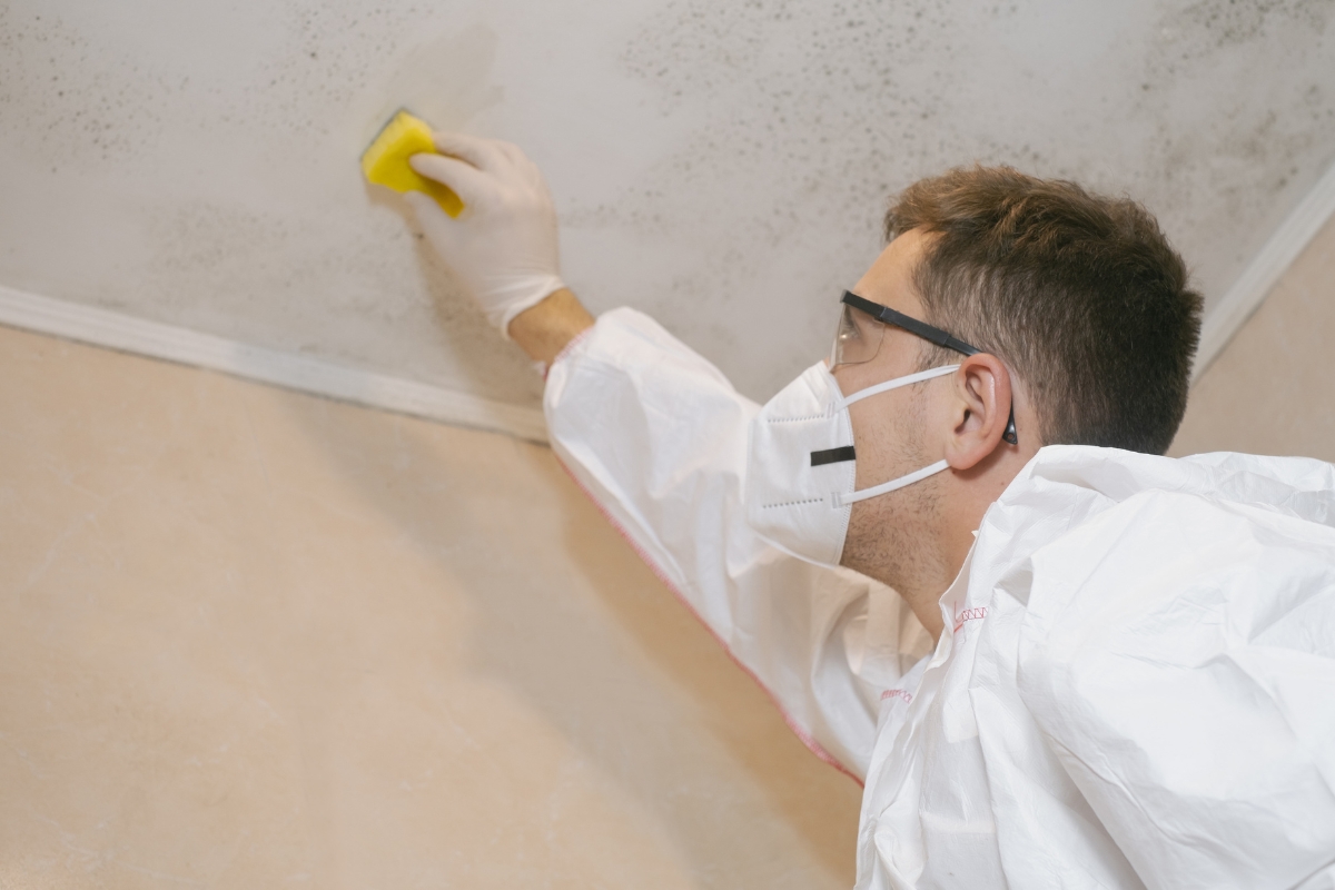 Person in protective gear expertly undertaking water damage recovery by cleaning mold off a ceiling using a sponge.