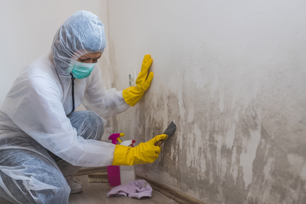 A person in protective clothing, mask, and gloves practices mold removal safety as they scrape mold off a wall with a tool, with cleaning supplies on the floor nearby.