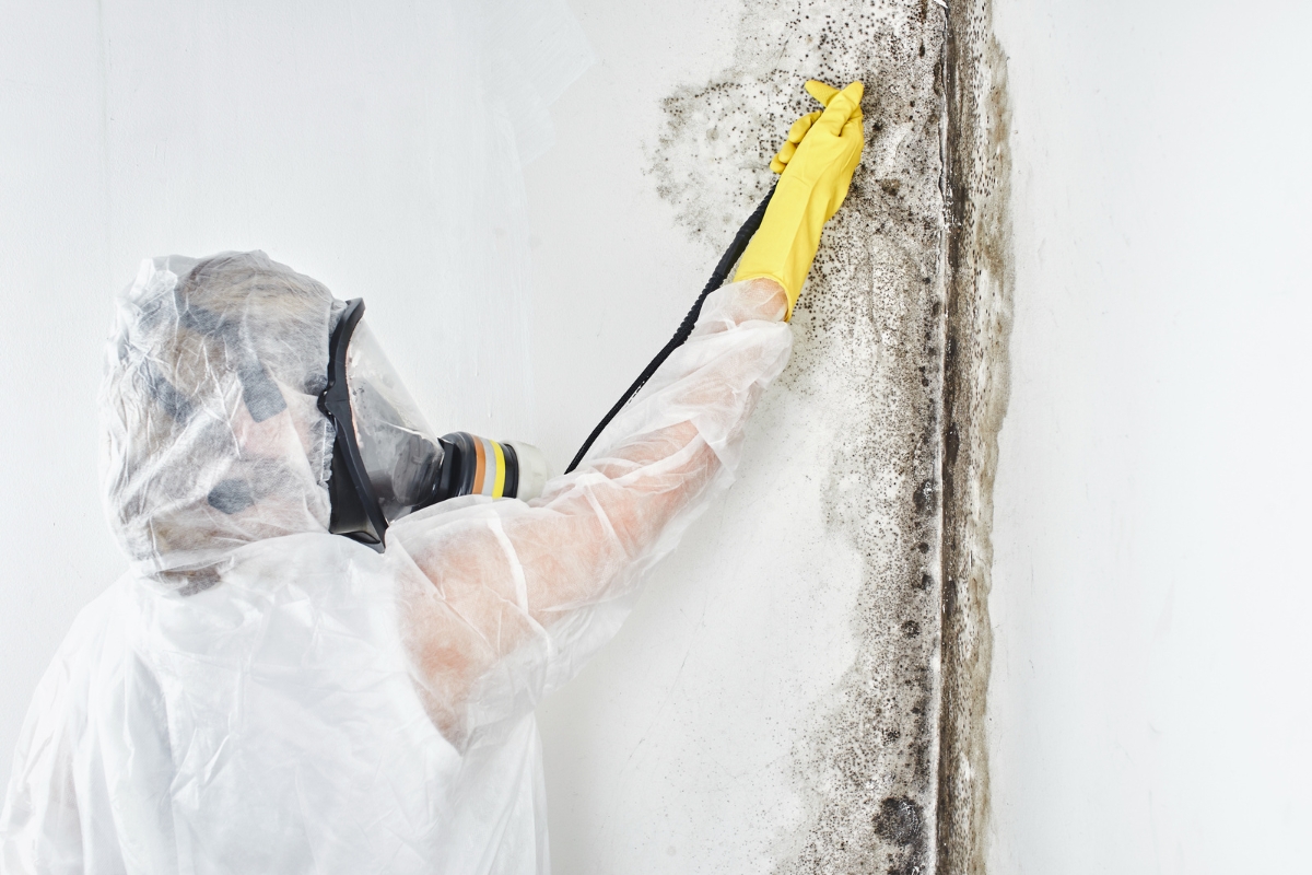 A person in protective gear is focused on mold removal safety, diligently scraping mold off a white wall.