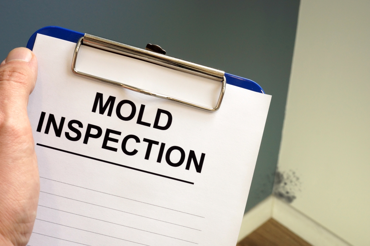 A hand holds a clipboard with the header "MOLD INSPECTION". In the background, there is a mold-affected area on the wall, highlighting the importance of mold removal safety.