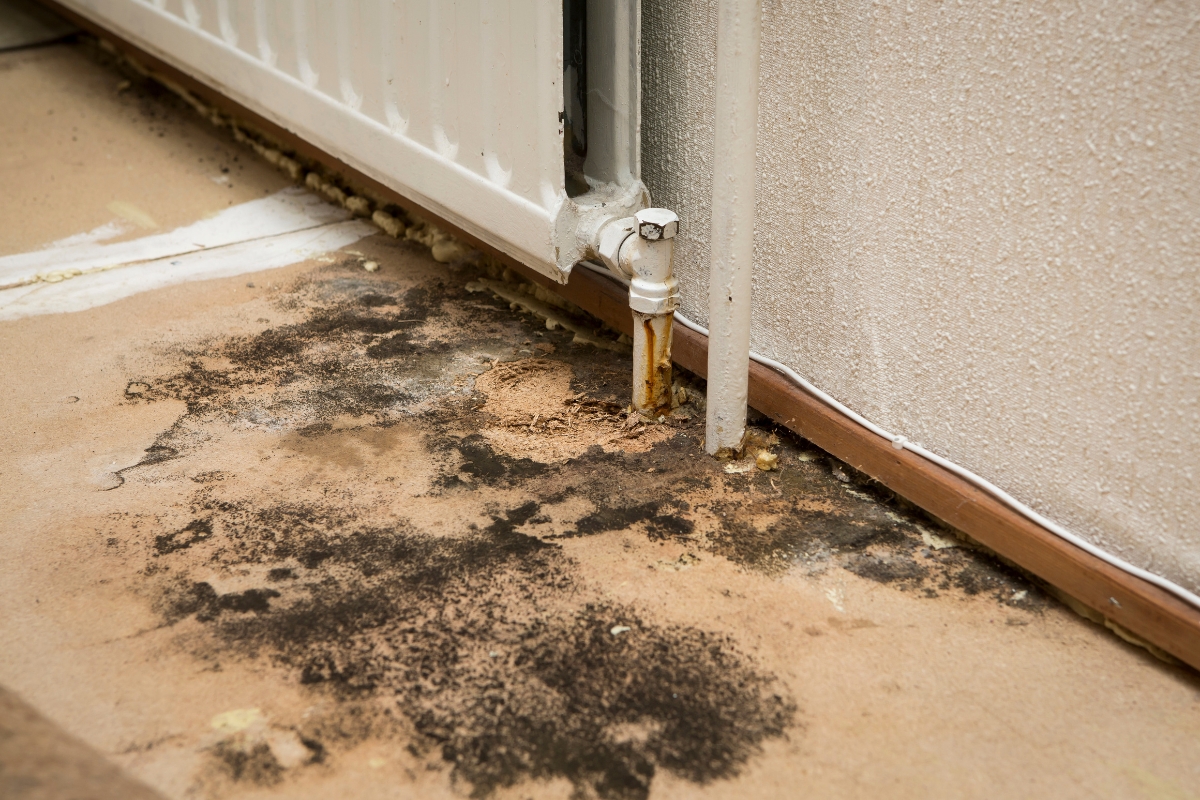 A floor with water damage and mold growth beneath a radiator pipe, showing a stained and deteriorating area near the wall. Proper mold removal safety measures are crucial to address this issue effectively.